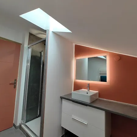 Apartment Magnifique Duplex De 135 M2 Pour Vos Sejours Jusqu'a 10 A Lourdes