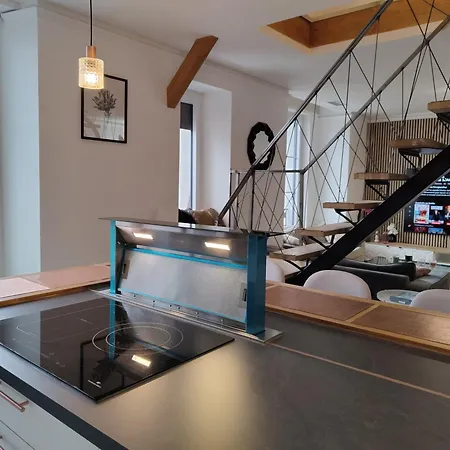 Magnifique Duplex De 135 M2 Pour Vos Sejours Jusqu'a 10 A * Lourdes