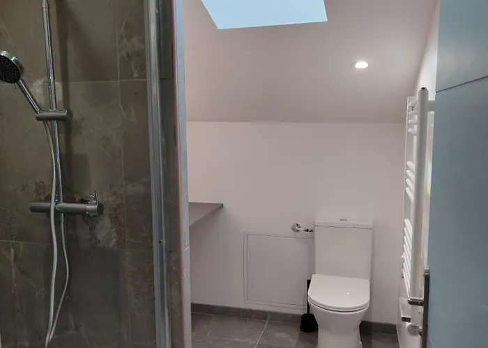 Magnifique Duplex De 135 M2 Pour Vos Sejours Jusqu'a 10 A Lourdes