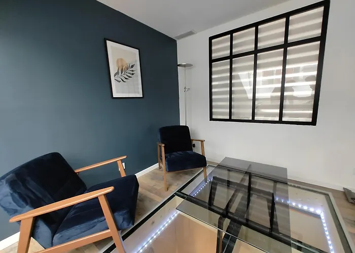 Apartment Magnifique Duplex De 135 M2 Pour Vos Sejours Jusqu'a 10 A Lourdes